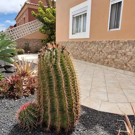 Sol Y Cactus Corralejo
