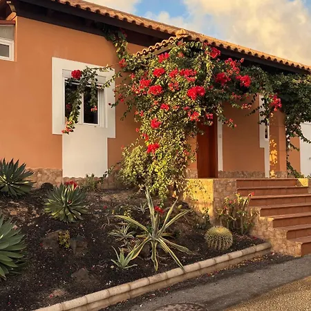 Sol Y Cactus Villa Corralejo