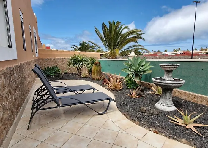 Sol Y Cactus Corralejo